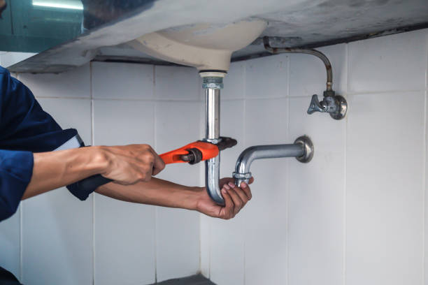 Best Plumbing Inspection Services  in Saginaw, MI