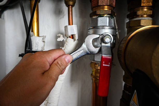 Best Local Plumber Services  in Saginaw, MI